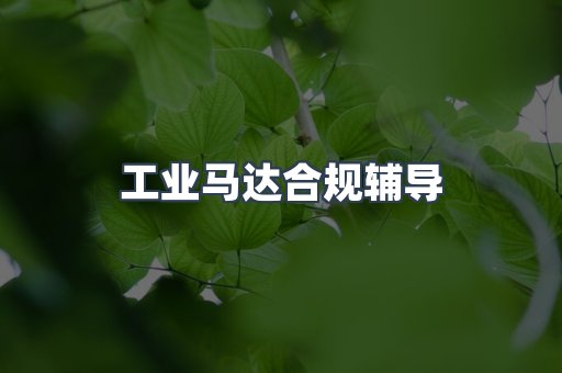 工业马达合规辅导