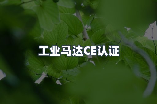 工业马达CE认证